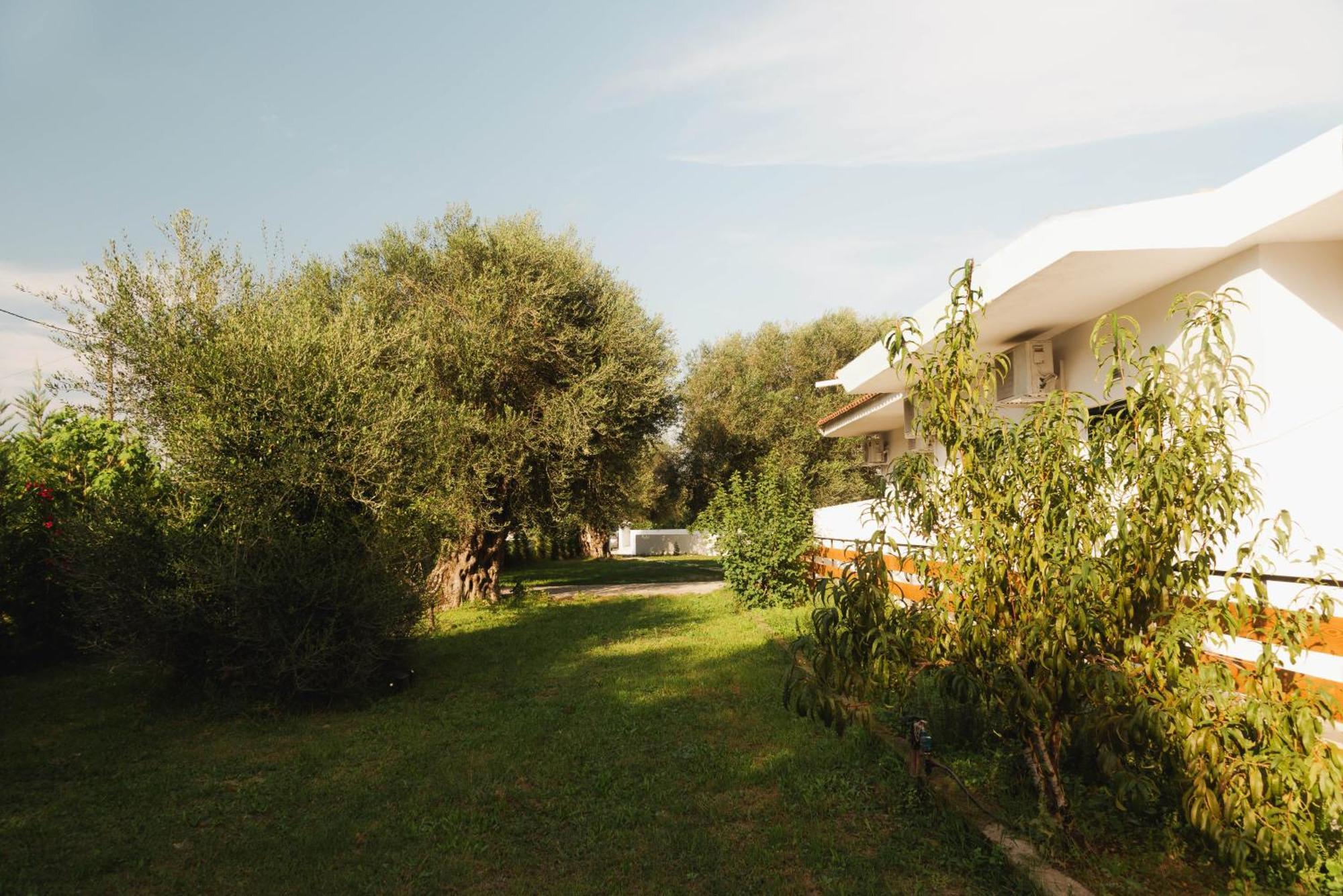 Olive Grove Suites Boutique Hotel مورايتيكا المظهر الخارجي الصورة