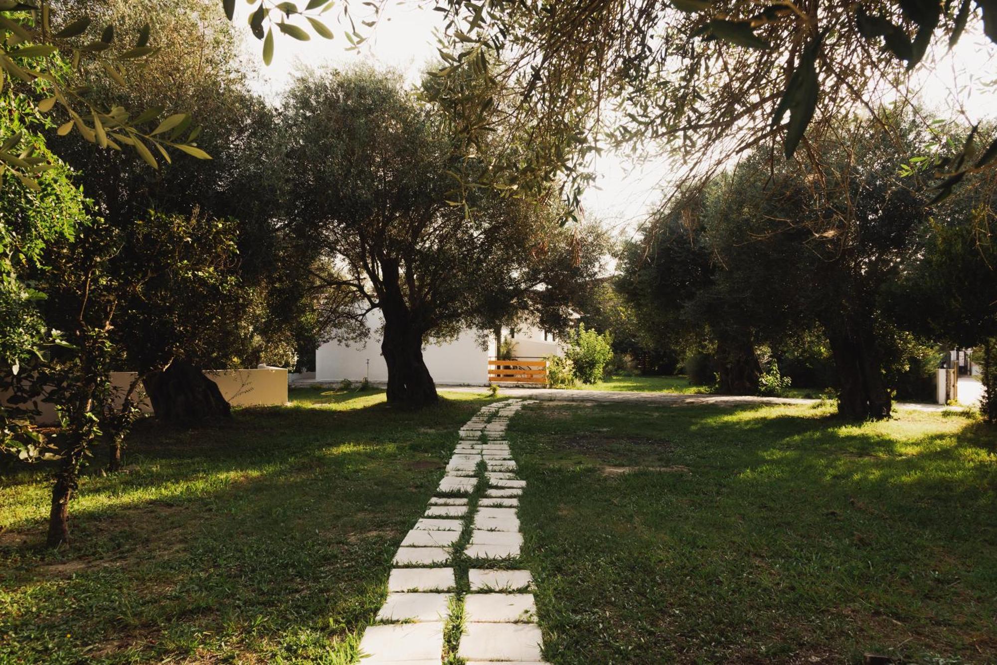 Olive Grove Suites Boutique Hotel مورايتيكا المظهر الخارجي الصورة