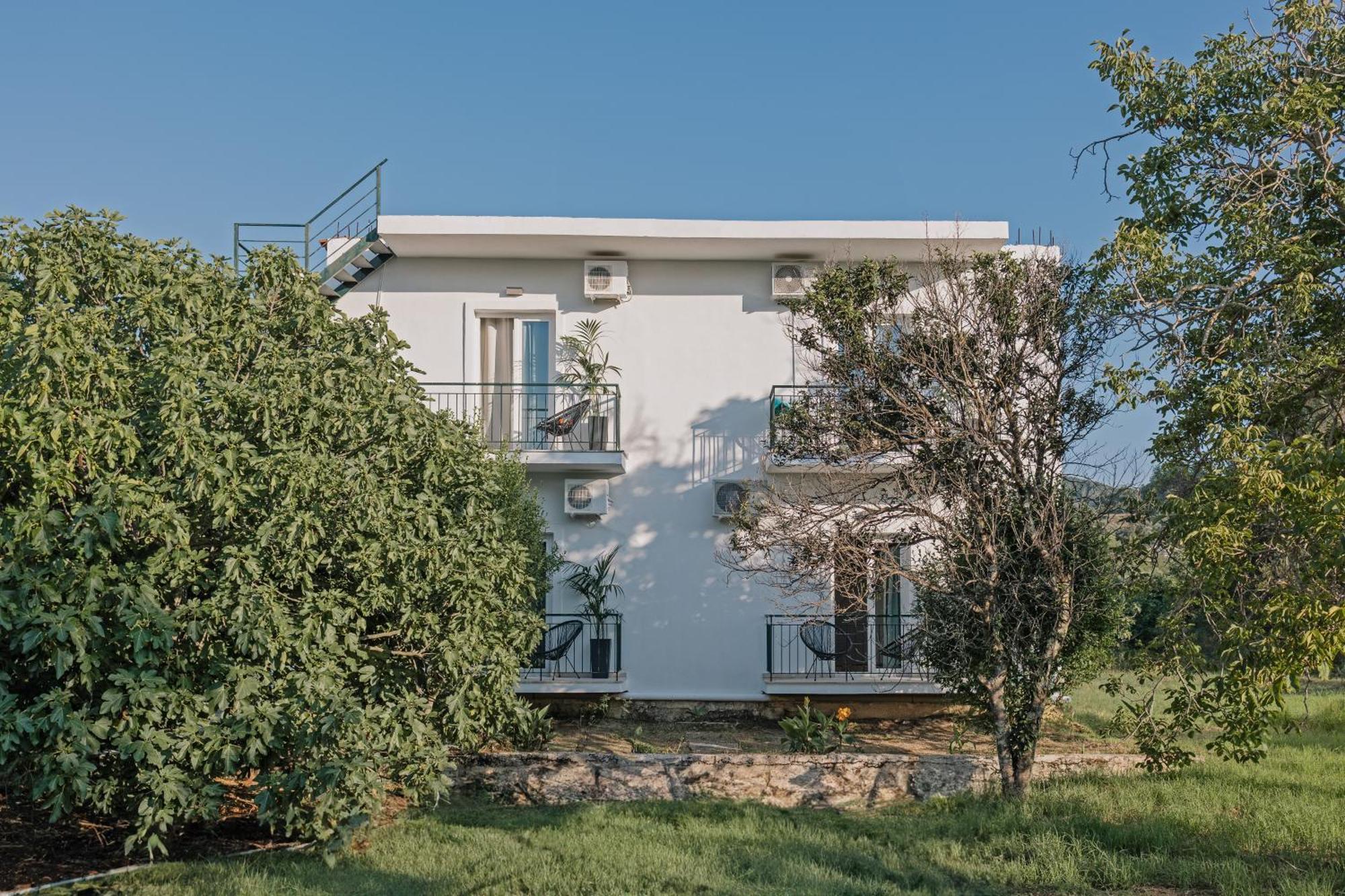 Olive Grove Suites Boutique Hotel مورايتيكا المظهر الخارجي الصورة